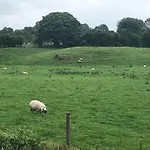 Toddys & Stables