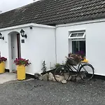 Toddys & Stables Cavan