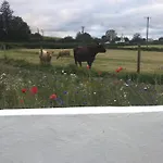 Toddys & Stables