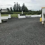 Toddys & Stables *