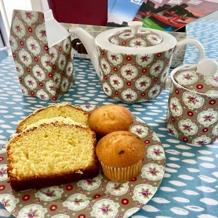 Toddys & Stables Дом отдыха