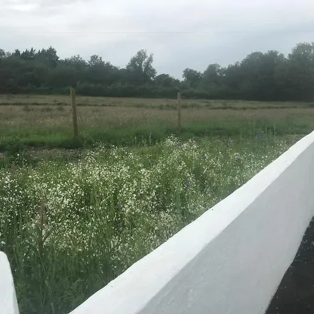 Toddys & Stables Дом отдыха Каван