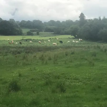 Toddys & Stables 度假居