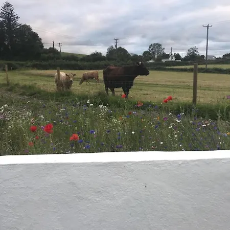 Toddys Cottage&stables