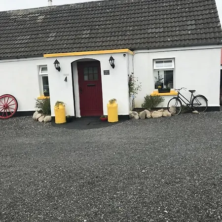 Toddys & Stables
