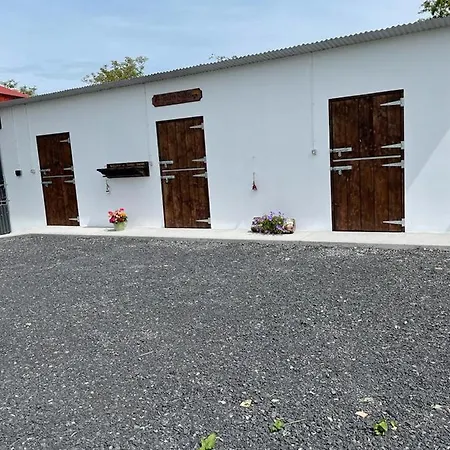 Toddys & Stables * Cavan