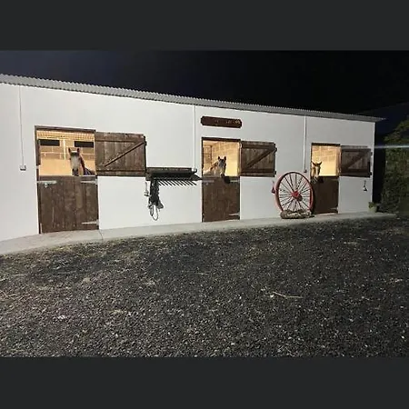Toddys & Stables * Cavan