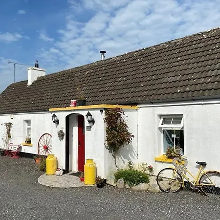 Toddys & Stables Cavan