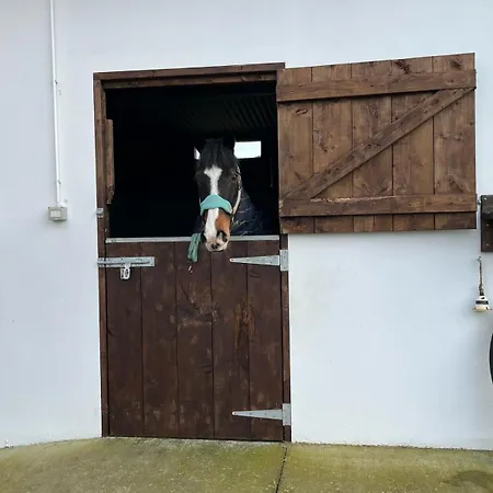 Toddys & Stables Hébergement de vacances *