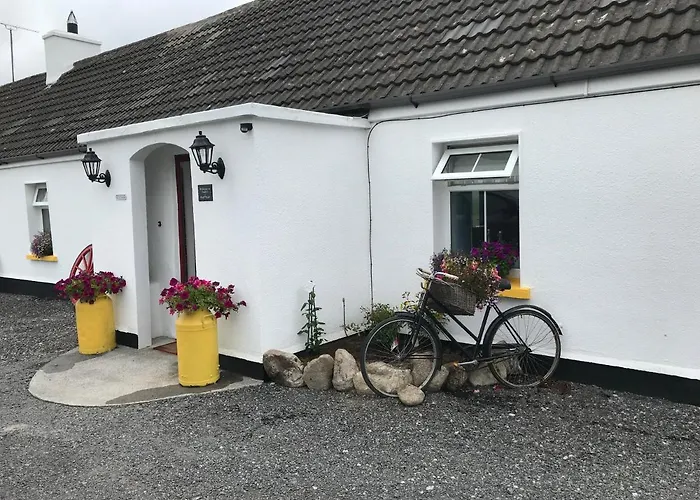 Toddys & Stables Cavan