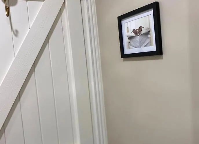 Toddys & Stables * Cavan