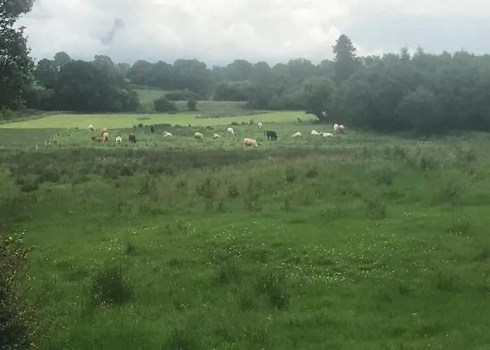 Toddys & Stables Casa de Férias