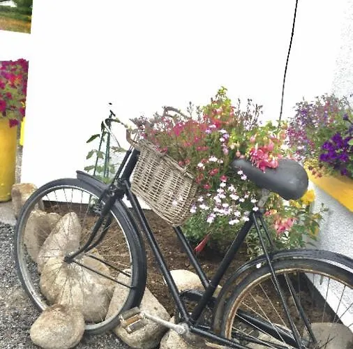 Hébergement de vacances Toddys & Stables *