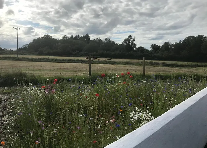 Toddys & Stables Dom wakacyjny Cavan