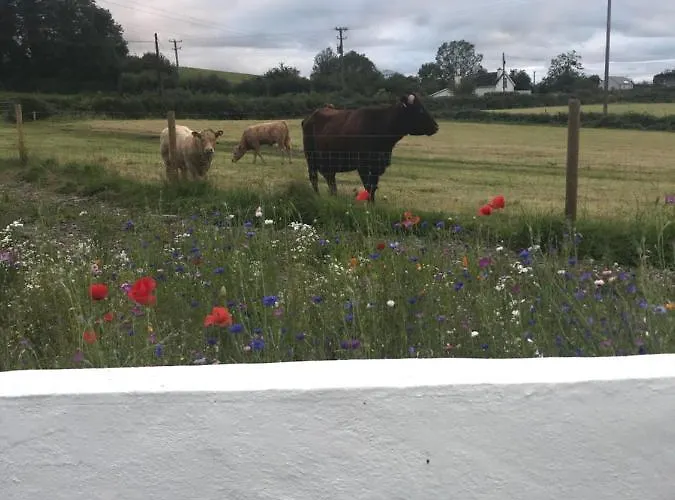 Toddys & Stables